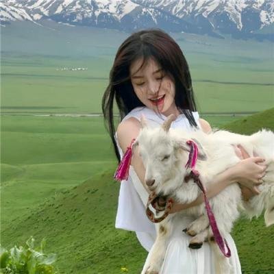 蓬莱龙棺之徐福宝藏